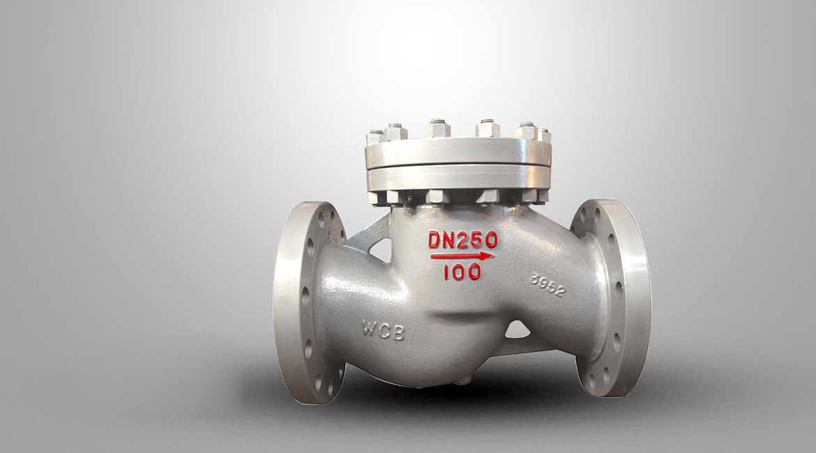 國標(biāo)升降式止回閥