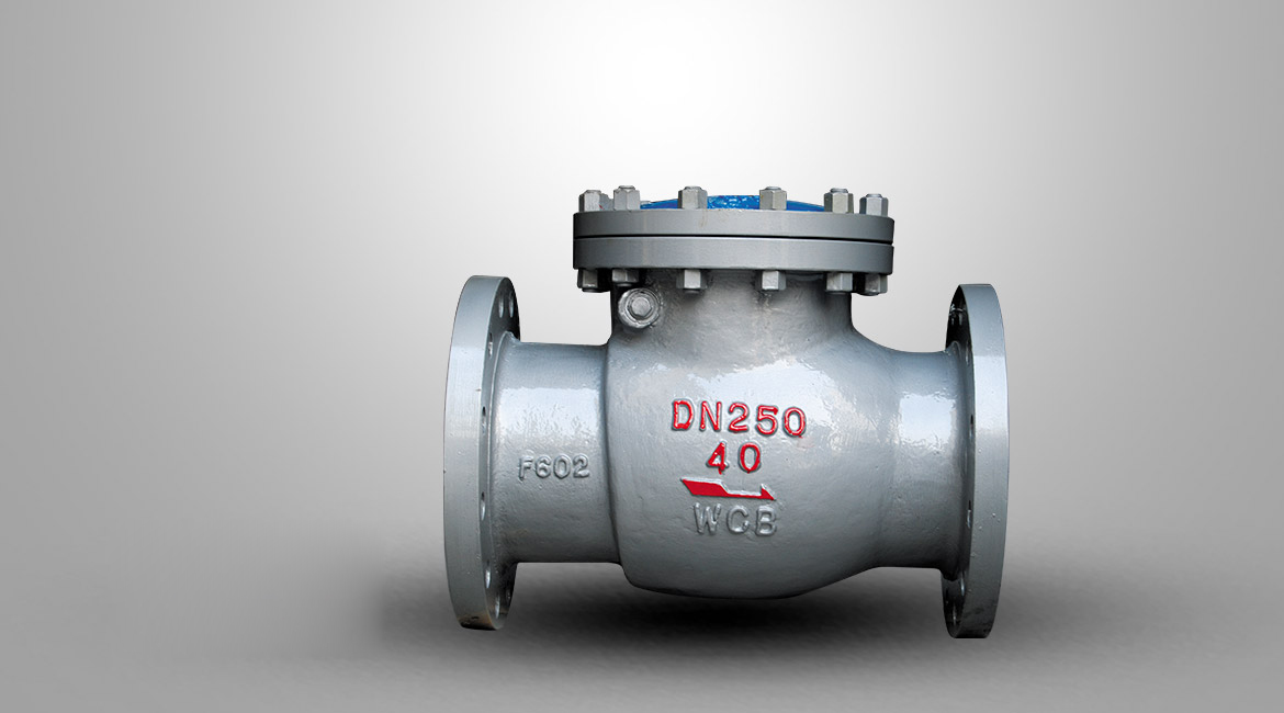 國標(biāo)旋啟式止回閥