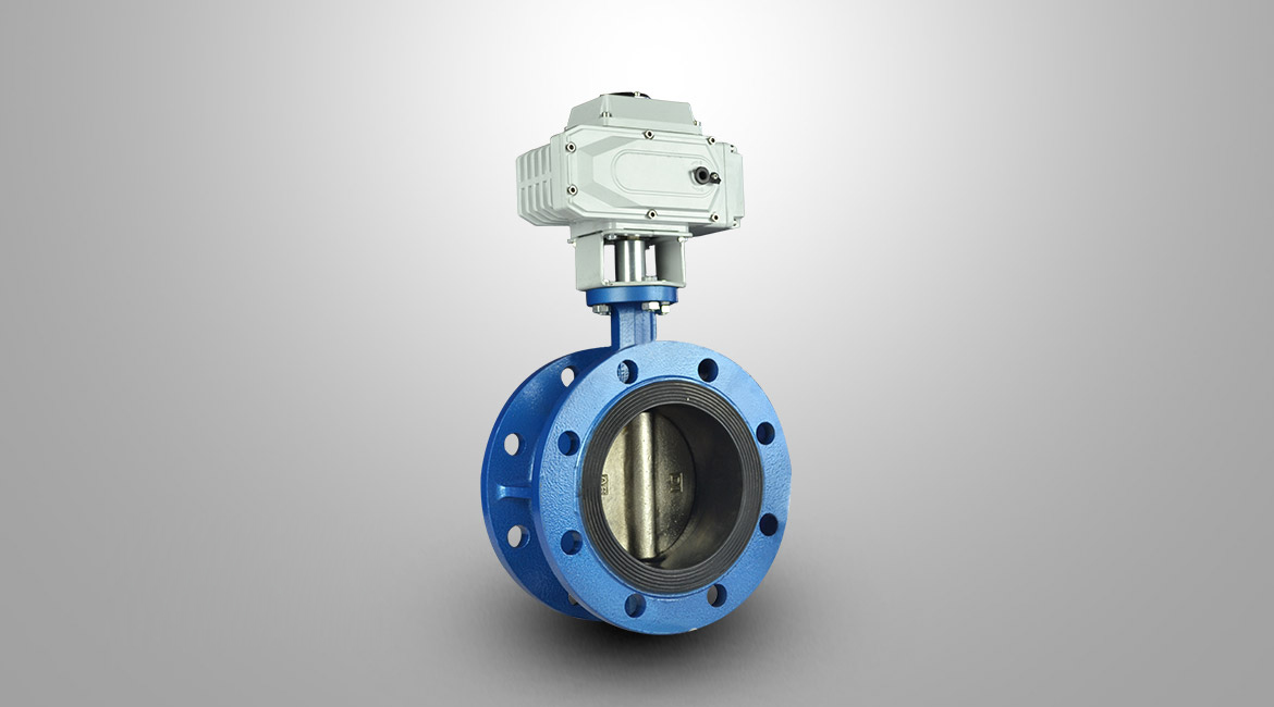 電動(dòng)法蘭式軟密封蝶閥