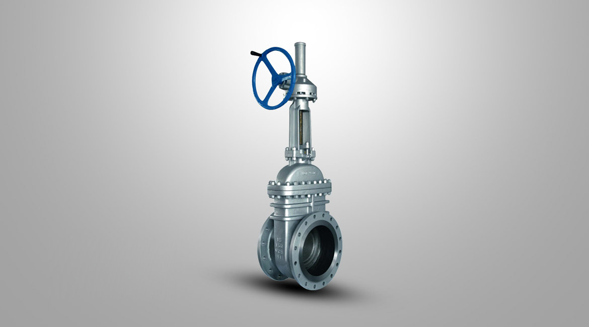 美標大口徑閘閥